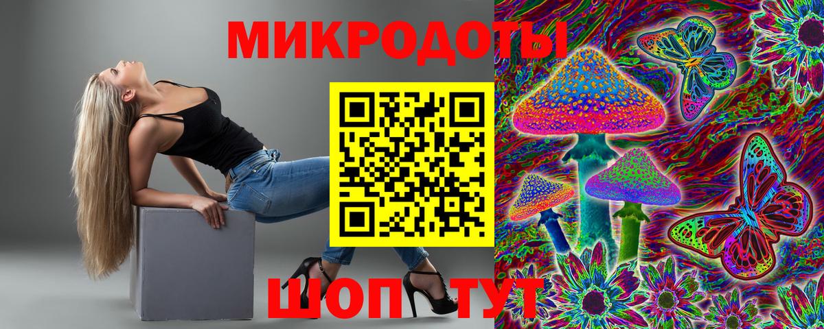 Псилоцибиновые грибы Psilocybe Амурск