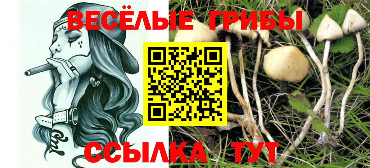 Псилоцибиновые грибы Psilocybine cubensis  Вход с VPN  Амурск  Псилоцибиновые грибы Magic Shrooms 